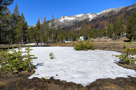 dwr412 April 1 snow survey