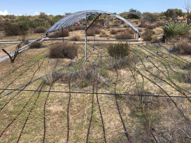 ucanr425 90194