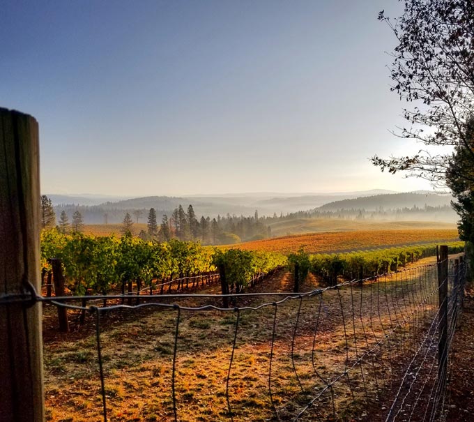 Image 3 El Dorado County by Lynda Cortright