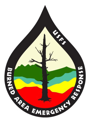baer logo