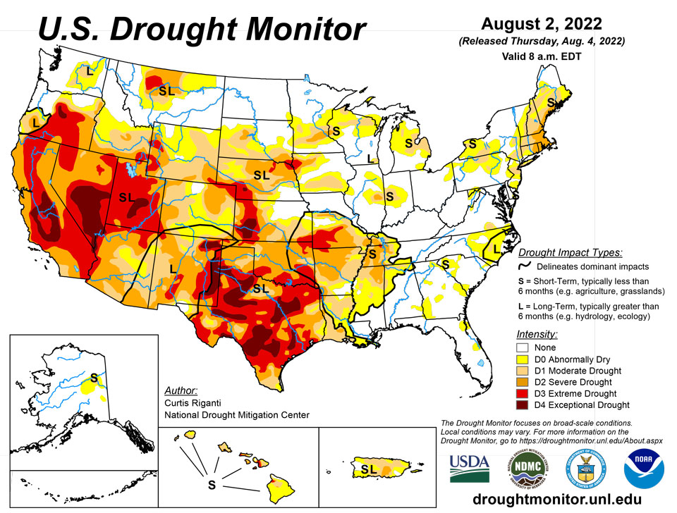 us20220802 usdm