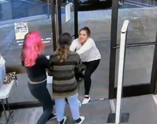 FPD theft 2