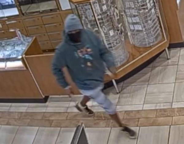 FPD theft 2