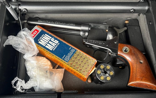 FPD theft guns 2