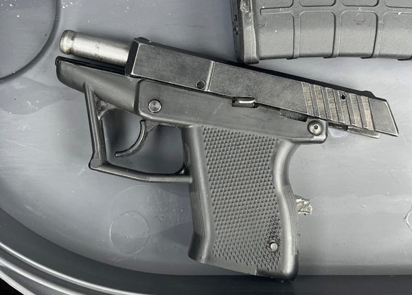 FPD theft guns 3