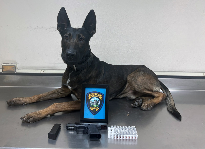 MPD Zeke
