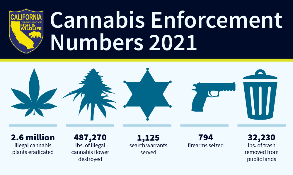 CannabisEnforcementStatsreducedsize02 04 22