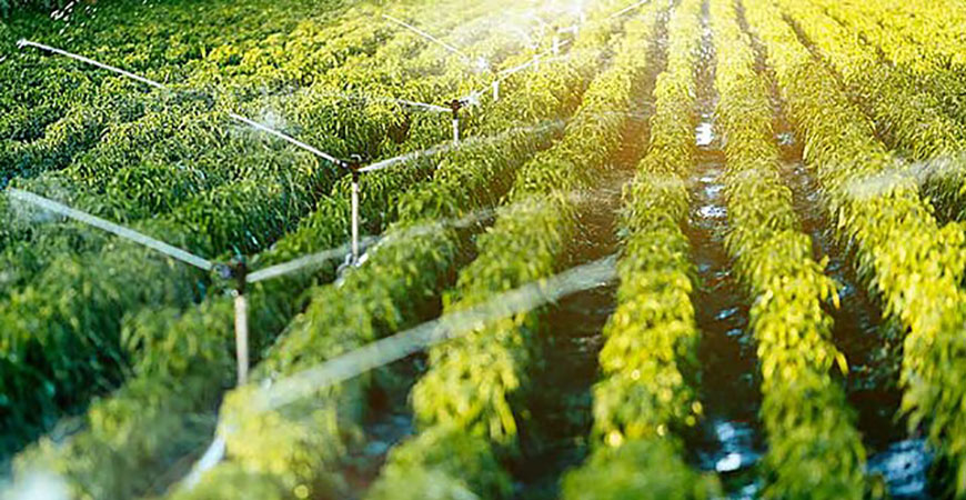 drought report