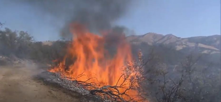 fire