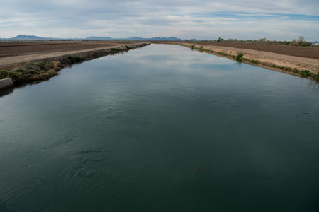 B00 800 395