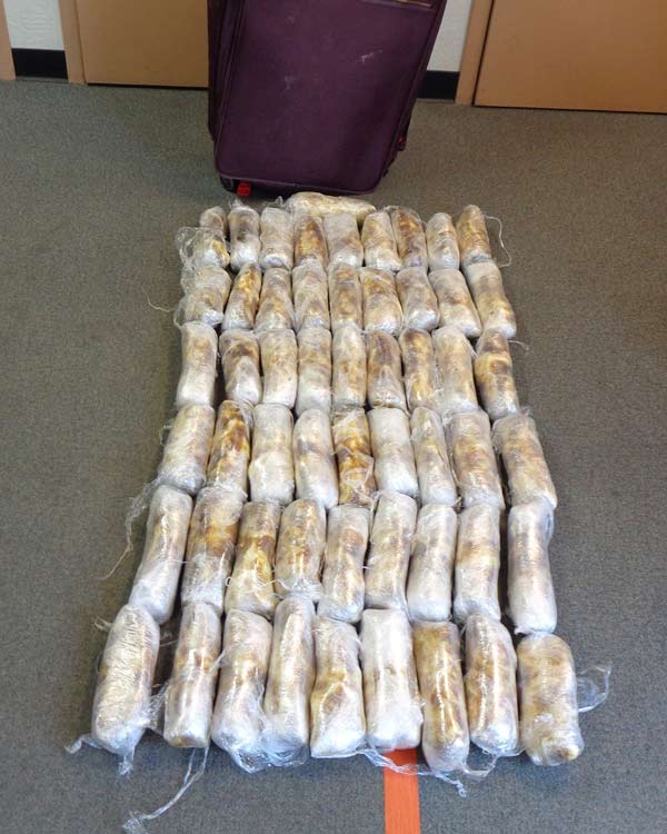 FCSO drugs 1