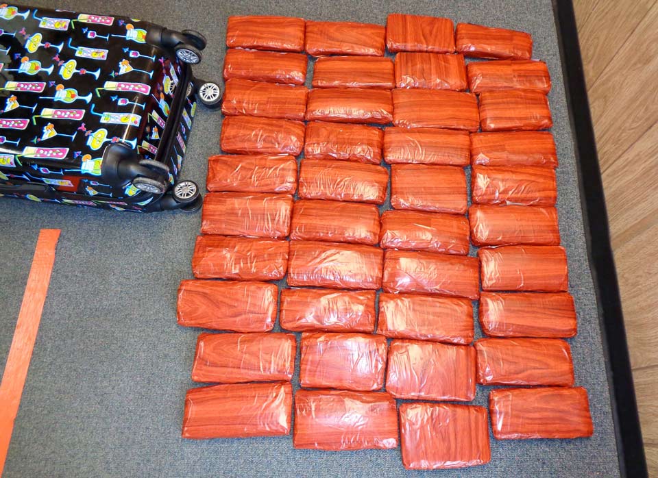 FCSO drugs 3