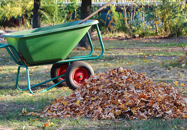 GardeningLeaves600