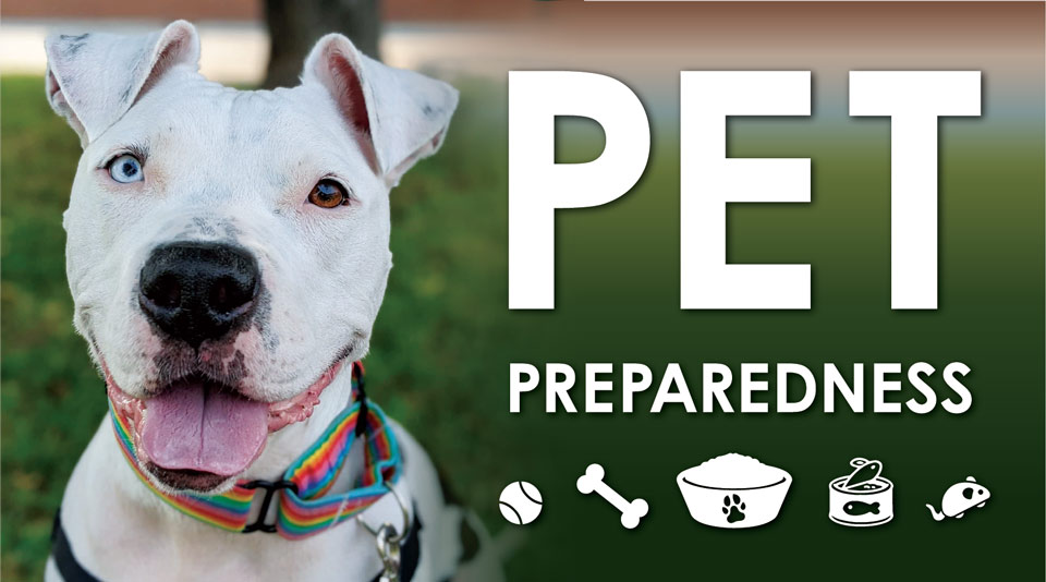 Pet Prep Blog