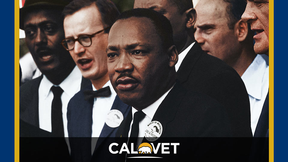 cvc martin luther king
