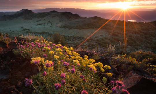 nevada views from slinkard wilderness study area photo by bob wick blm
