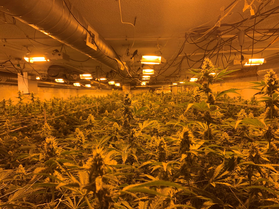 sbsd117