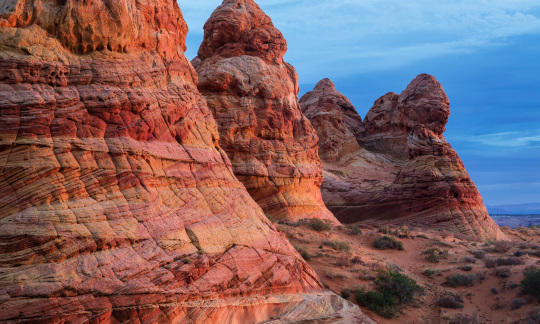 vermillion cliffs national monument arizona bob wick blm