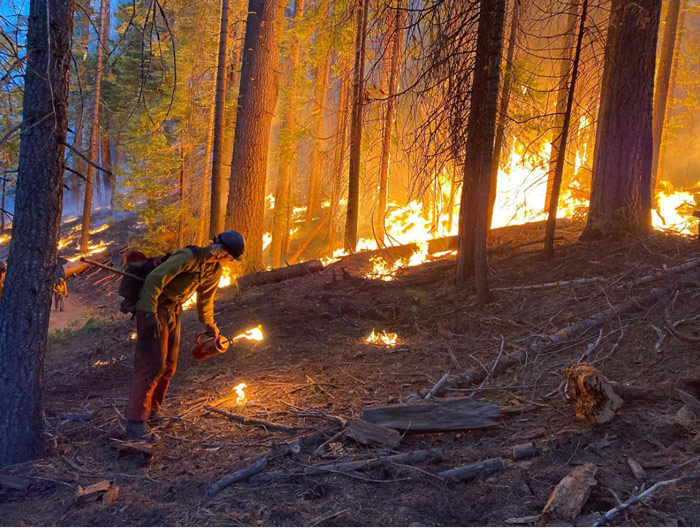 nps washburnfire SarahPlatt