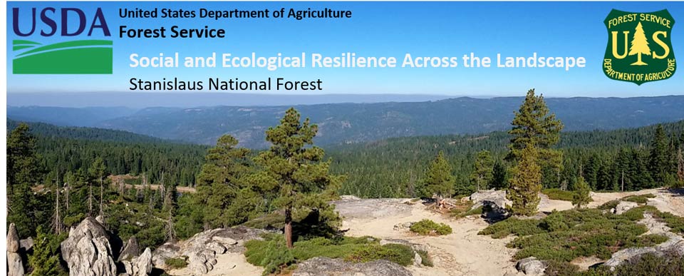 stanislaus national forest seral