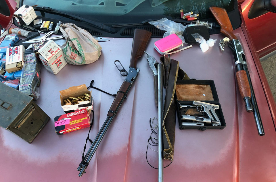 FCSO guns