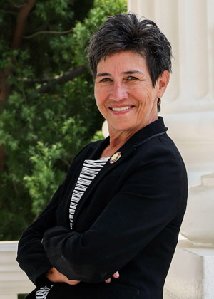 susan eggman california state senator