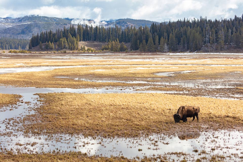 yellowstone630 51164986229 61fb2e0b7b 6k