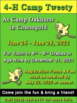 2022 Camp Tweety