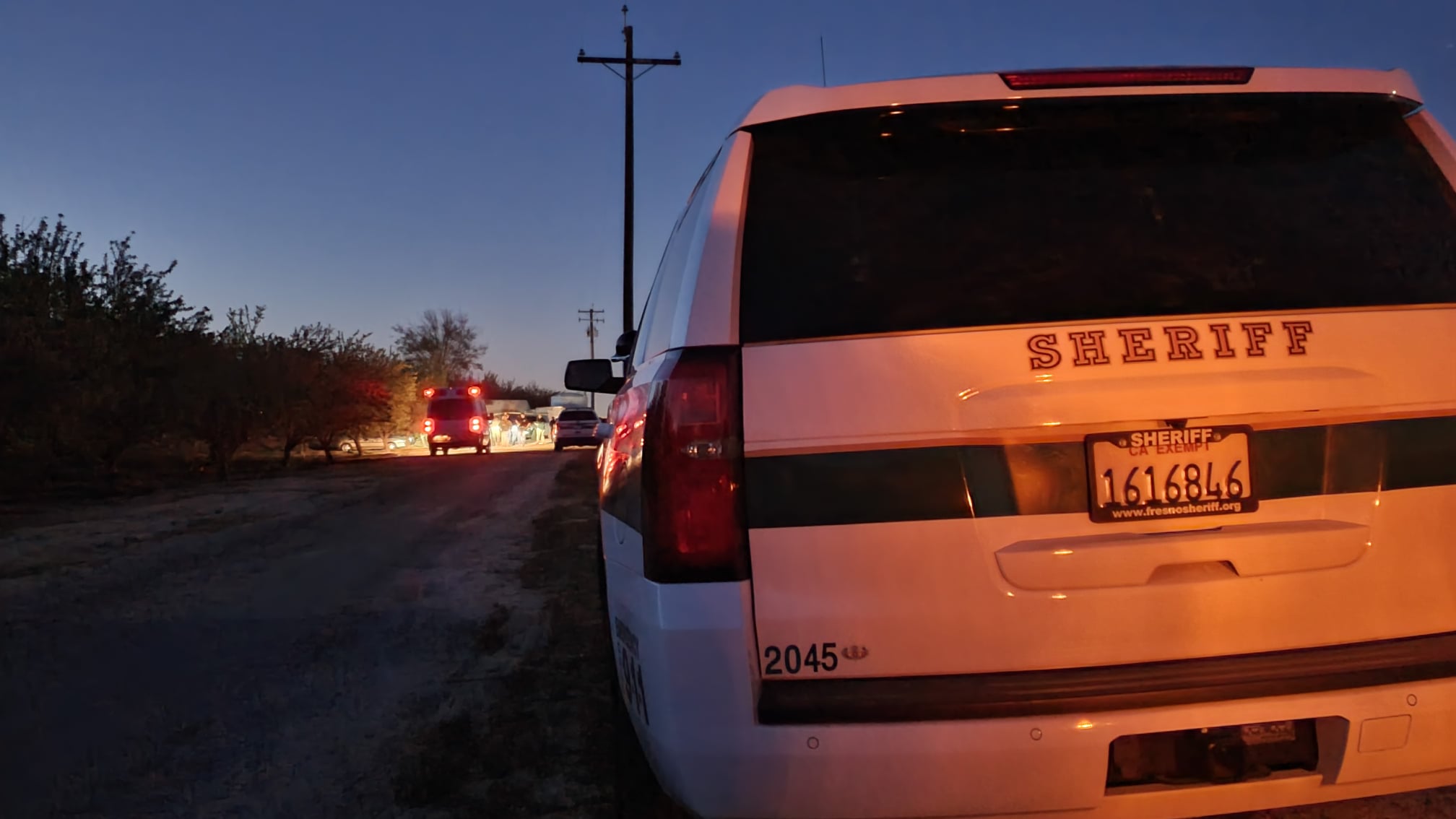 fcso319.1