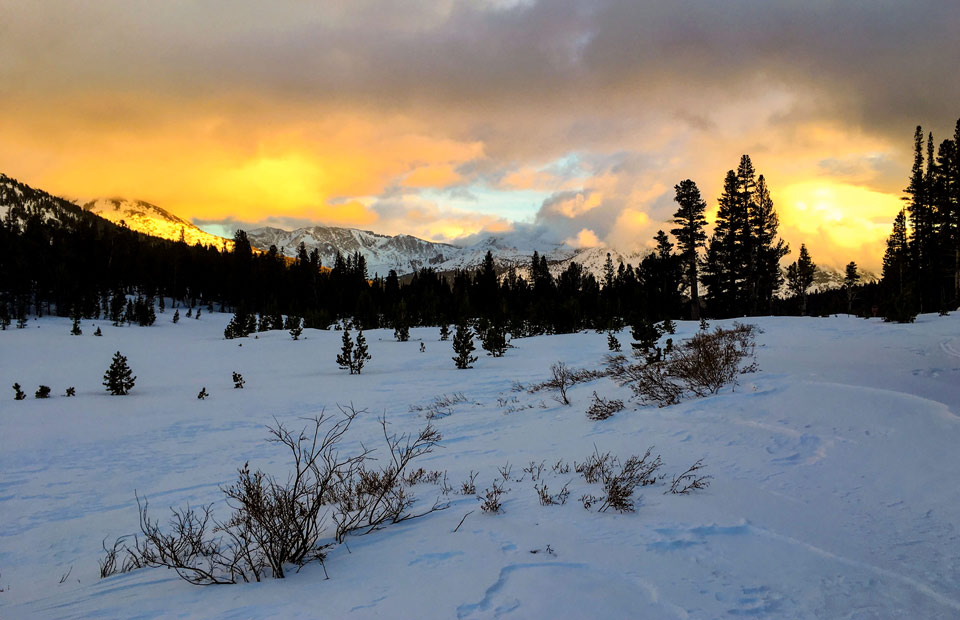 yose Dana Meadows sunset March 8 2022
