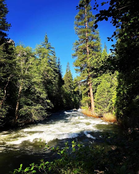 Cedar Grove River Spring 2019