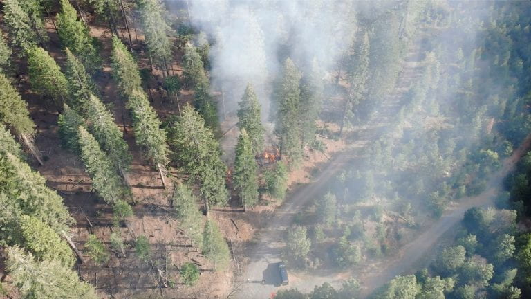 ForestBurn 768x432