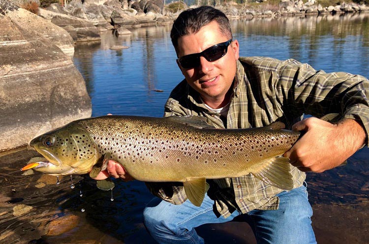 MichaelMamola BrownTrout