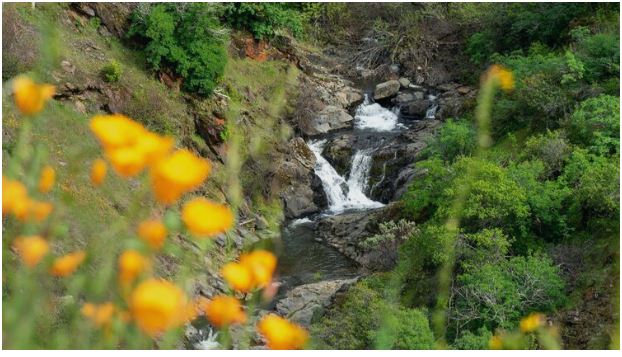 river photo