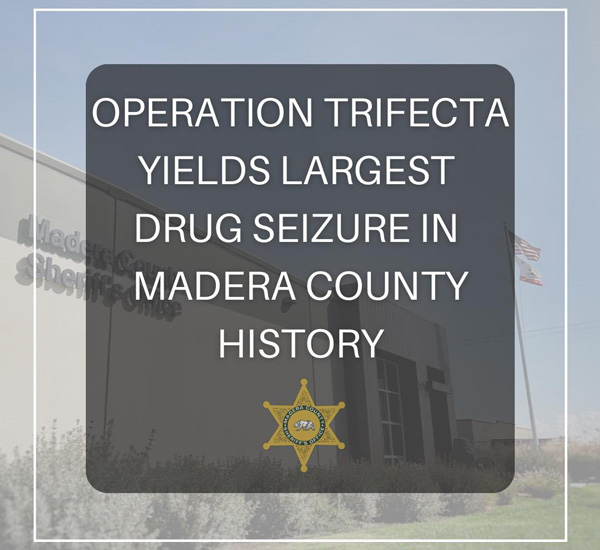 MCSO nov