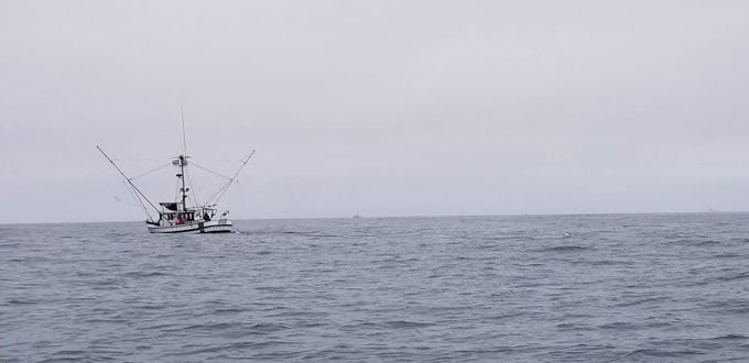 cdfw salmonregs