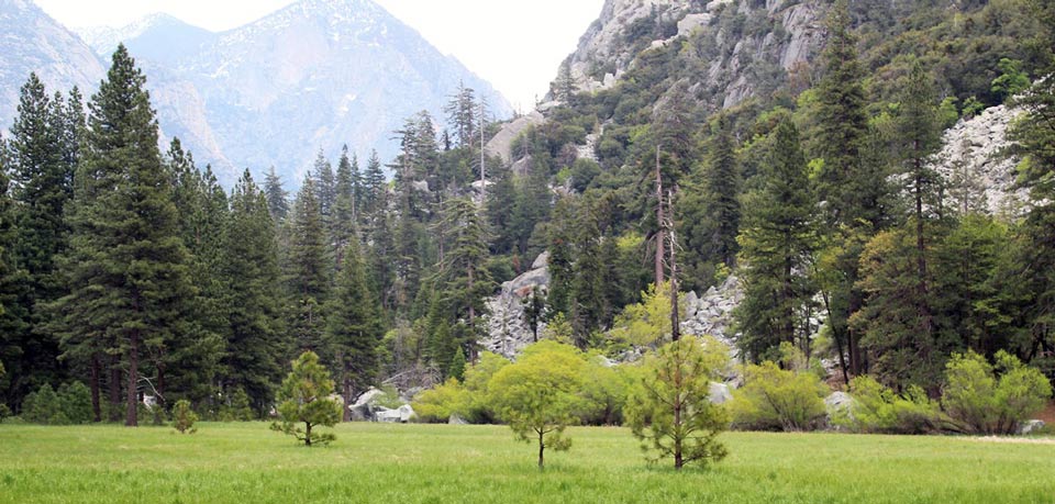 cedar grove kings canyon national park credit nps