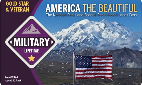 military lifetime pass