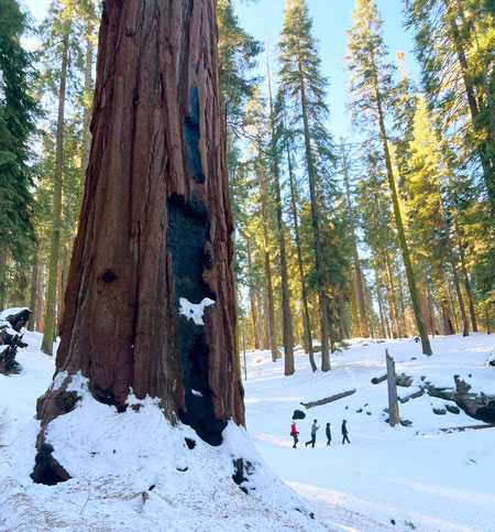 nps winter weather Sequoia and Kings Canyon National Park