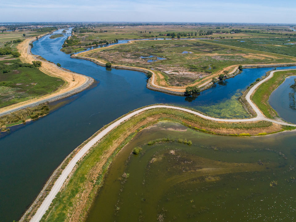 Dutch Slough