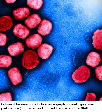 NIH 20221012 monkeypox