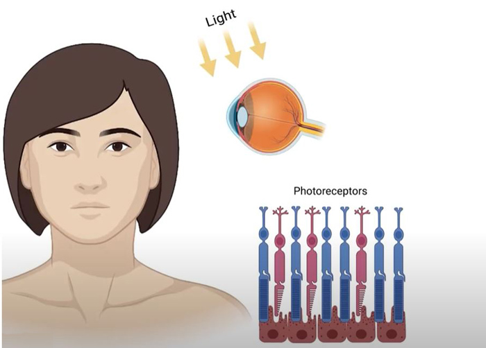 NIH eyes
