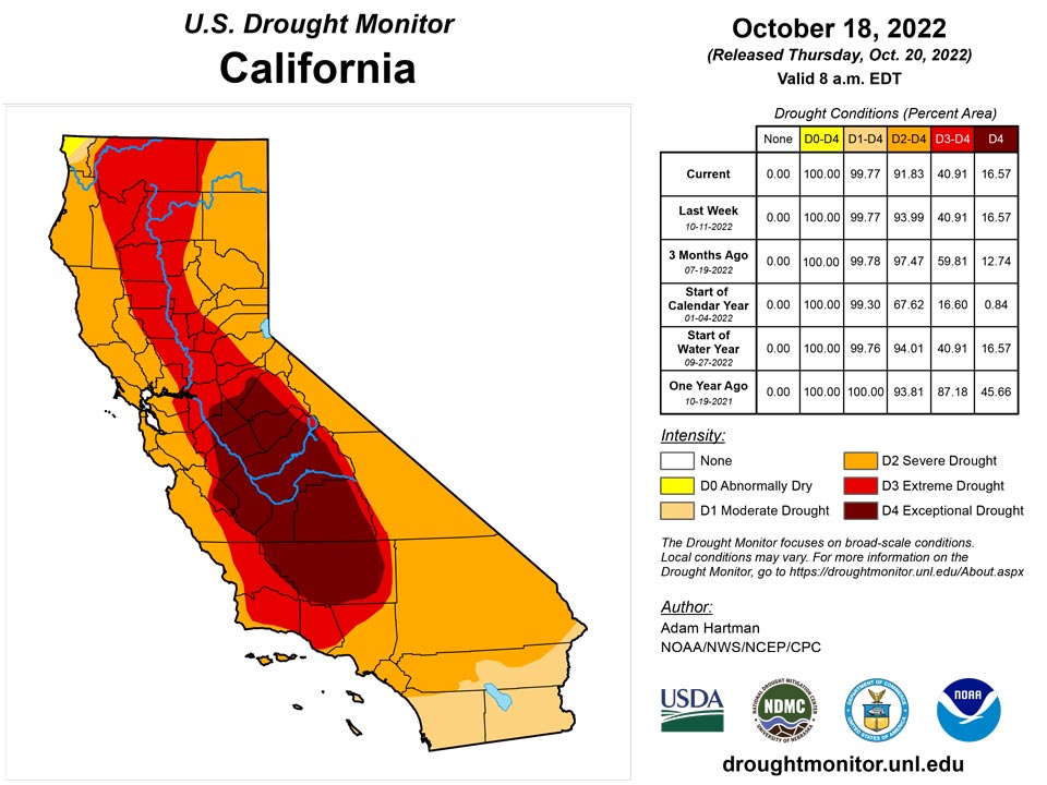 ca20221018 ca trd