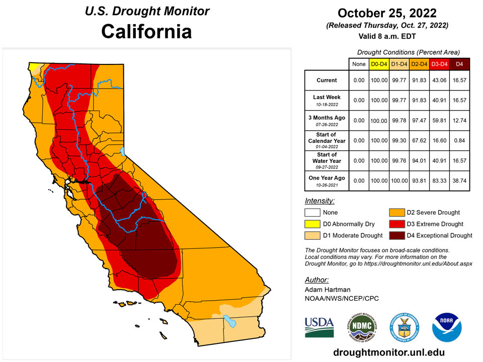 ca20221025 ca trd