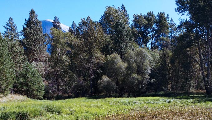 yose CRLF habitat YosemiteNP 09.2017 credit Rick Kuyper USFWS