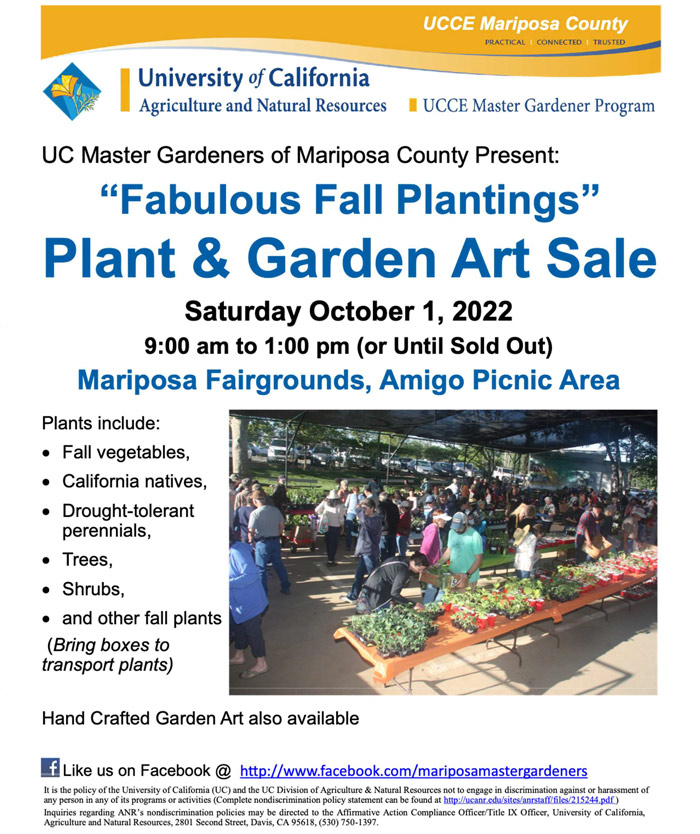 10 1 22 plant sale