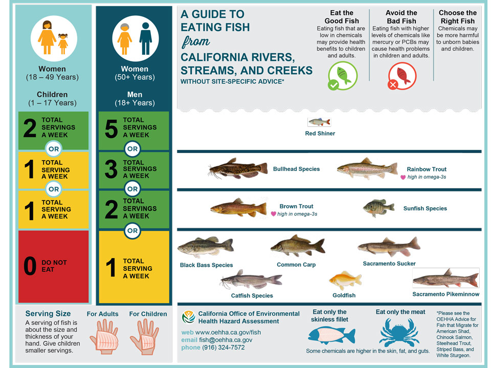 fishadvisorystatewideriversenglishposter