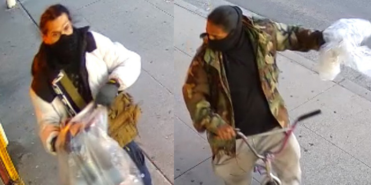 FPD theft