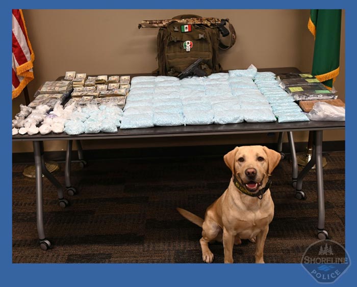SPD drugs dog