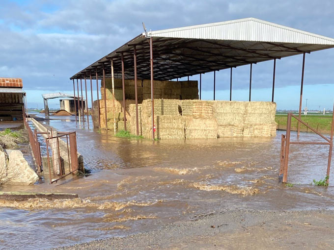 cfba45 Lerda Goni hay barn